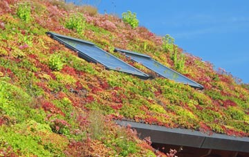 Rivenhall End living roof systems